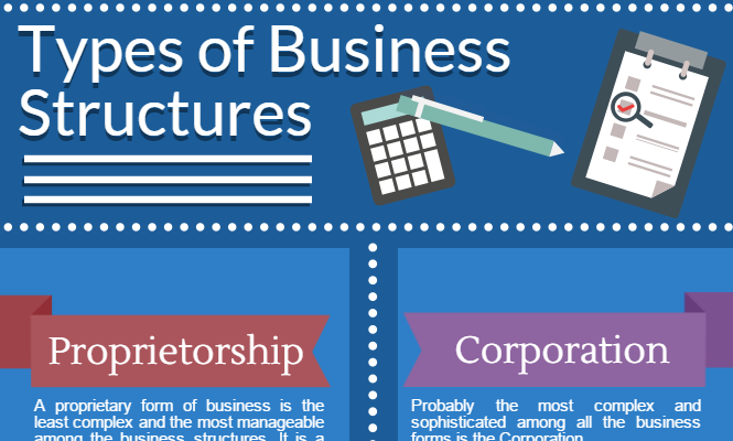 Business Structures For Startups Founder s Guide