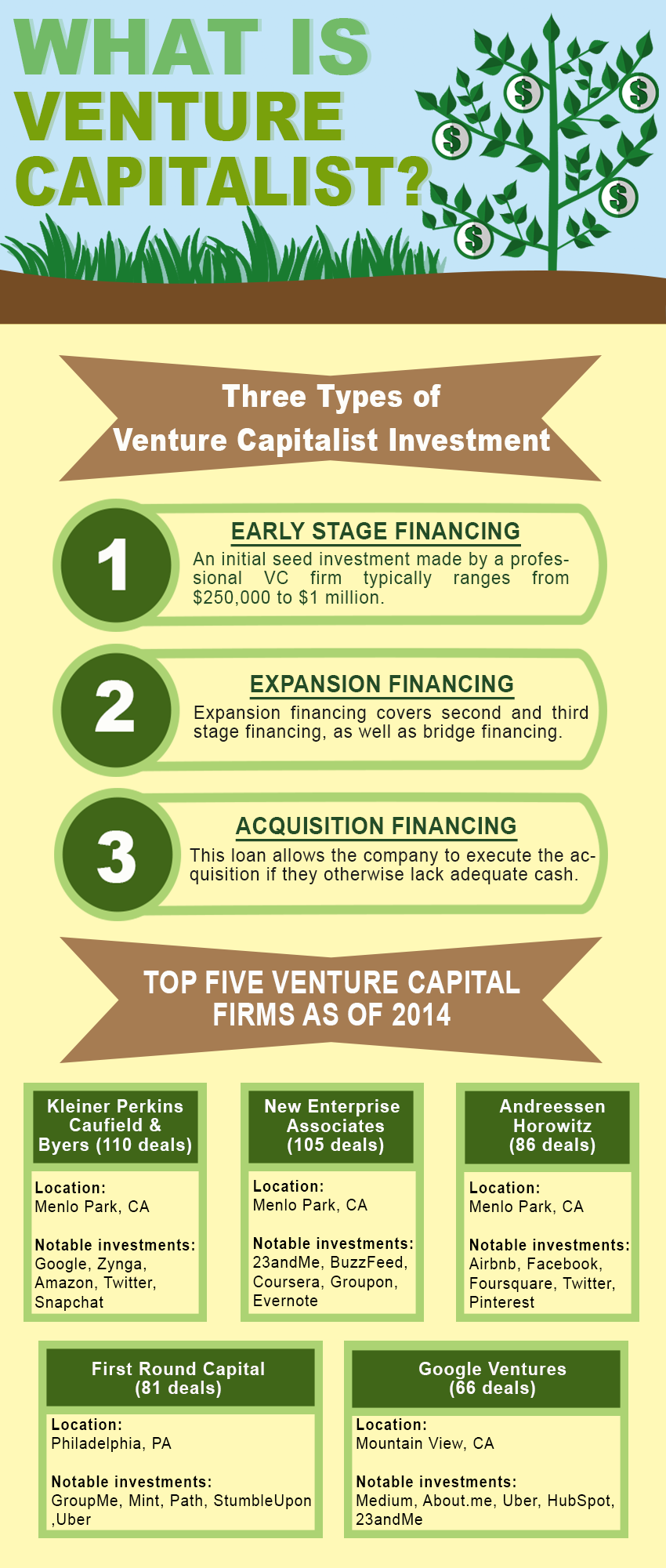 what is venture capitalist infographics