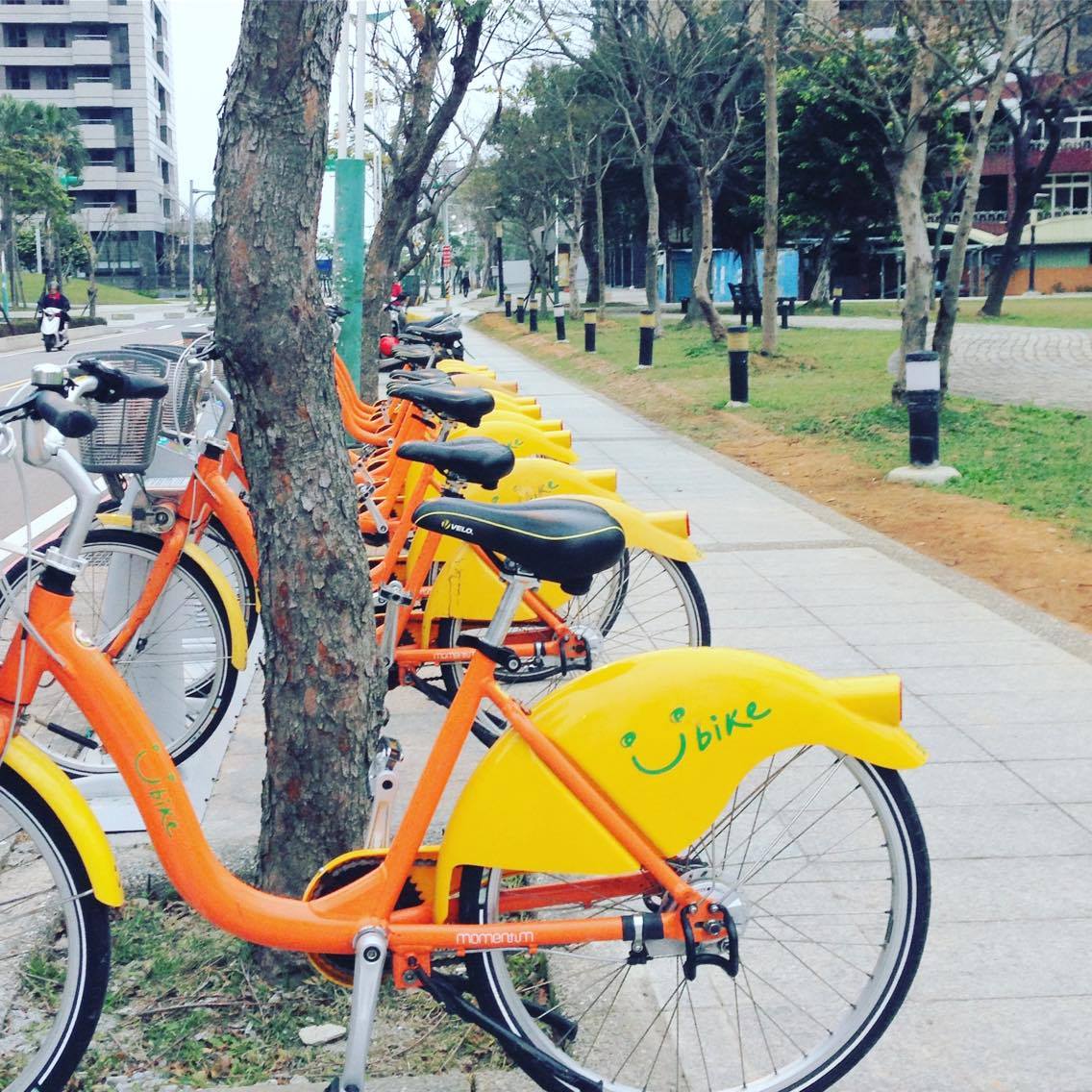 Go Green: How Your Business Can Save Money And The Environment