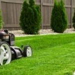 Starting a Landscaping Business? You’ll Need More Than Talent!
