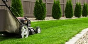 Starting a Landscaping Business? You’ll Need More Than Talent!