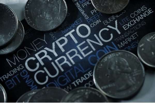 Best free crypto signals for beginners