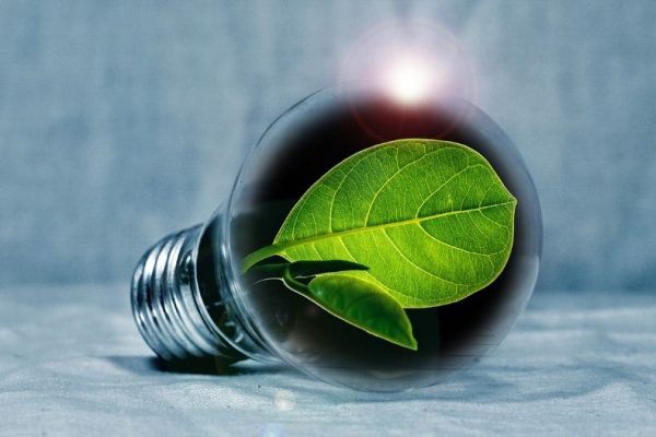Choosing an Energy Supplier for Your Business – All You Need to Know