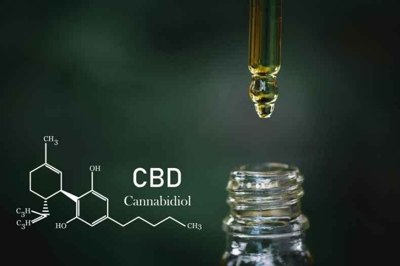 4 Important Things to Know If You Want to Start a CBD Business