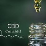 4 Important Things to Know If You Want to Start a CBD Business