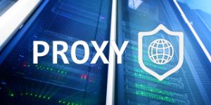 What Is a Residential Proxy and How Can It Be Useful for Business?