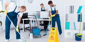 Advantages of Hiring House Cleaners For Your Home Business