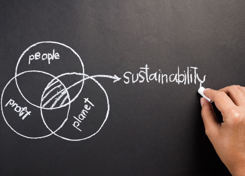  How To Benefit From Sustainability Software
