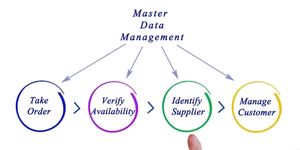 Why Every Business Needs A Master Data Management System