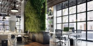 Incorporating Plants: Unlocking Natural Inspiration, Motivation, and Tranquility in Indoor and Outdoor Spaces