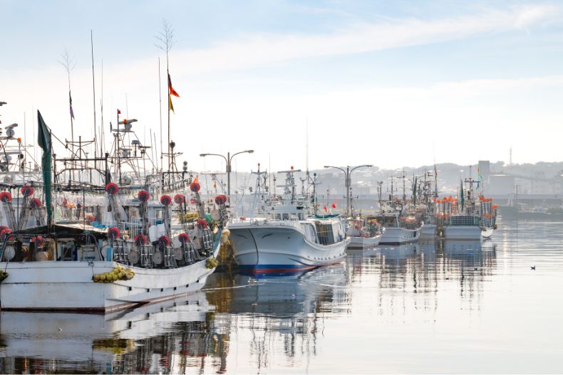 Benners | Tsuyoshi Inokuchi: Leveraging the Experience of Overcoming the COVID-19 Pandemic to Realize Japan's New Aquaculture Industry.