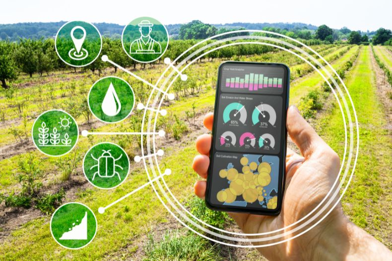 Future of Agriculture Business: Everything Founders Need to Know