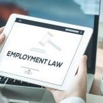 Employment Law Essentials: Quick Guide for Small Business Owners
