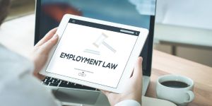 Employment Law Essentials: Quick Guide for Small Business Owners