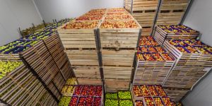 Best Practices for Shipping Fresh Foods