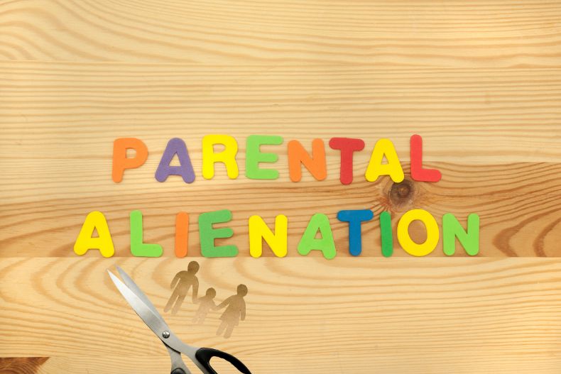 What Are the 17 Signs of Parental Alienation?