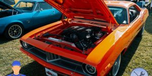 Mustang restoration business