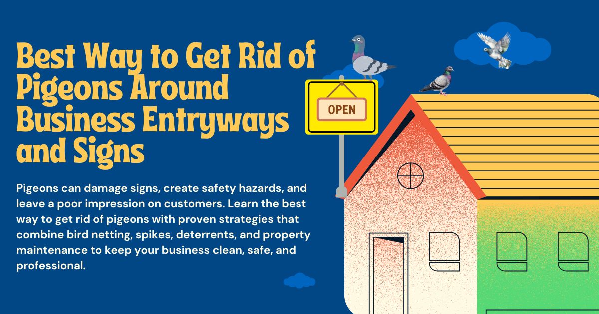 How Can Businesses Keep Pigeons Away From Entryways and Signs